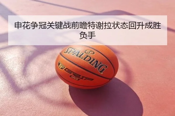 申花争冠关键战前瞻特谢拉状态回升成胜负手